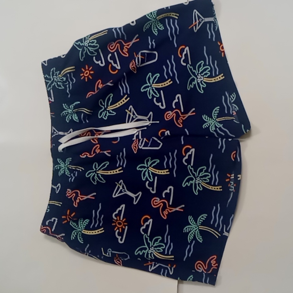 Chubbies Men's Navy Blue Shorts